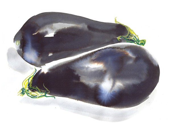 aubergine2
