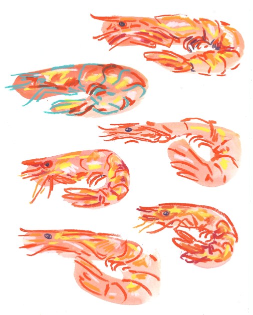 shrimps